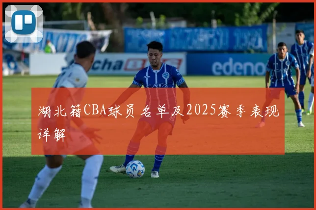 湖北籍CBA球员名单及2025赛季表现详解