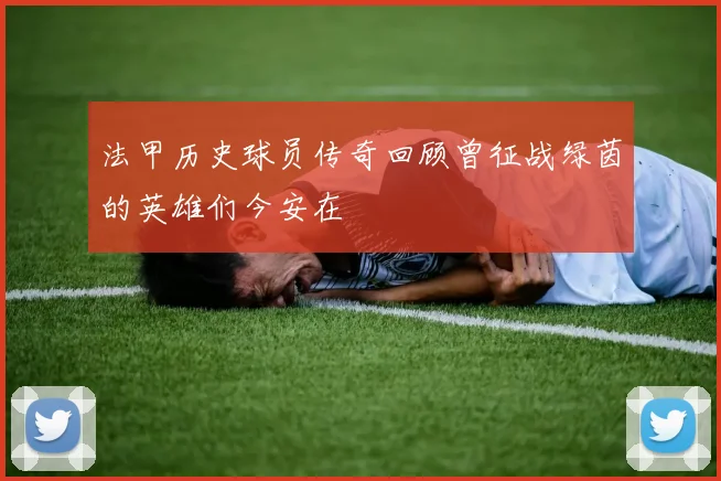 法甲历史球员传奇回顾曾征战绿茵的英雄们今安在