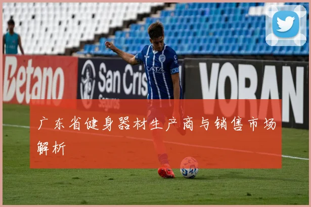 广东省健身器材生产商与销售市场解析