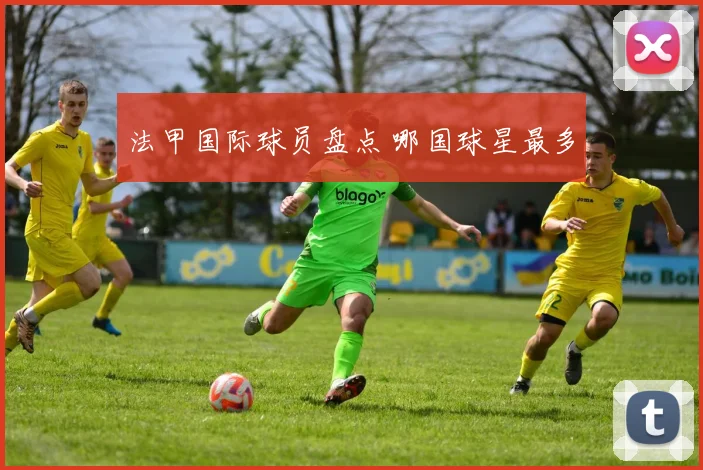 法甲国际球员盘点 哪国球星最多