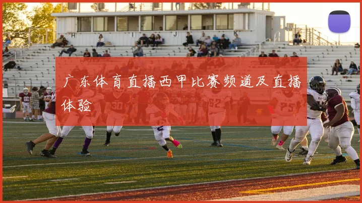 广东体育直播西甲比赛频道及直播体验